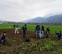 Erste Einsaat erfolgt