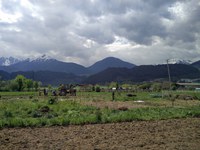 Gärtnern in Covid-19 Zeiten