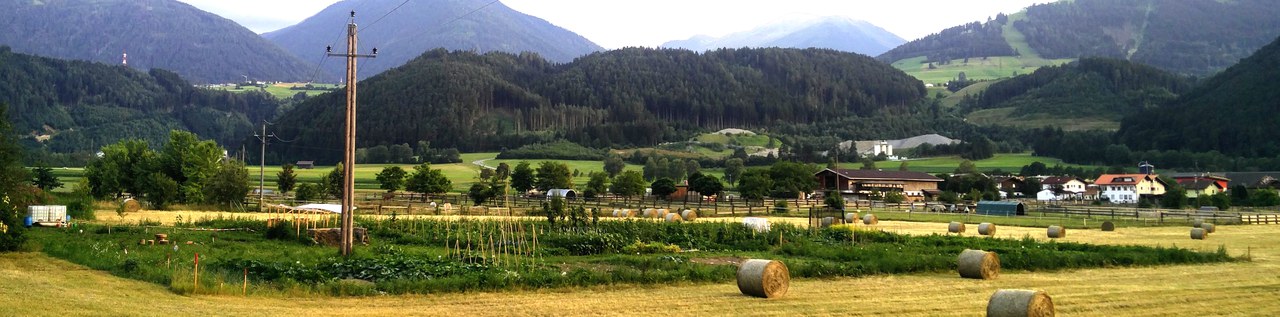 Der Garten im Sommer 2018